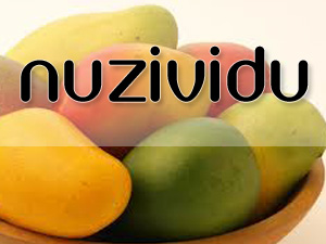 Nuzvid 